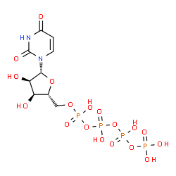 ChemSpider 2D Image | 5'-O-{Hydroxy[(hydroxy{[hydroxy(phosphonooxy)phosphoryl]oxy}phosphoryl)oxy]phosphoryl}uridine | C9H16N2O18P4