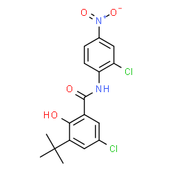 ChemSpider 2D Image | 5-Chloro-N-(2-chloro-4-nitrophenyl)-2-hydroxy-3-(2-methyl-2-propanyl)benzamide | C17H16Cl2N2O4