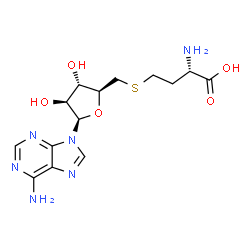 ChemSpider 2D Image | (2S)-2-Amino-4-({[(2S,3S,4S,5R)-5-(6-amino-9H-purin-9-yl)-3,4-dihydroxytetrahydro-2-furanyl]methyl}sulfanyl)butanoic acid | C14H20N6O5S