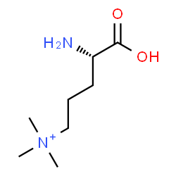 ChemSpider 2D Image | N-[(4S)-4-Amino-4-carboxybutyl]-N,N-dimethylmethanaminium | C8H19N2O2