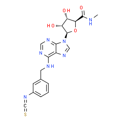 ChemSpider 2D Image | (2S,3S,4R,5R)-3,4-Dihydroxy-5-{6-[(3-isothiocyanatobenzyl)amino]-9H-purin-9-yl}-N-methyltetrahydro-2-furancarboxamide | C19H19N7O4S