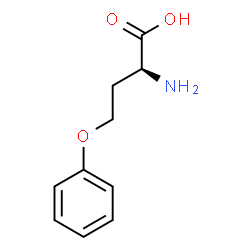 ChemSpider 2D Image | O-Phenyl-L-homoserine | C10H13NO3