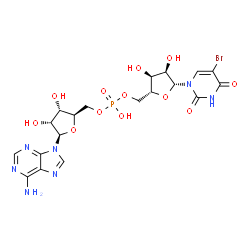 ChemSpider 2D Image | [(2R,3S,4R,5R)-5-(6-Amino-9H-purin-9-yl)-3,4-dihydroxytetrahydro-2-furanyl]methyl [(2R,3S,4R,5R)-5-(5-bromo-2,4-dioxo-3,4-dihydro-1(2H)-pyrimidinyl)-3,4-dihydroxytetrahydro-2-furanyl]methyl hydrogen p
hosphate | C19H23BrN7O12P