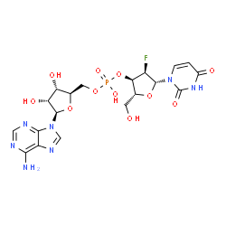 ChemSpider 2D Image | [(2R,3S,4R,5R)-5-(6-Amino-9H-purin-9-yl)-3,4-dihydroxytetrahydro-2-furanyl]methyl (2R,3R,4R,5R)-5-(2,4-dioxo-3,4-dihydro-1(2H)-pyrimidinyl)-4-fluoro-2-(hydroxymethyl)tetrahydro-3-furanyl hydrogen phos
phate | C19H23FN7O11P