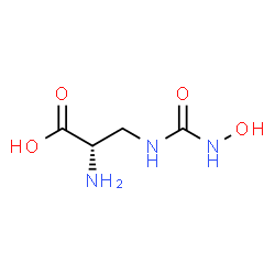 ChemSpider 2D Image | 3-[(Hydroxycarbamoyl)amino]-L-alanine | C4H9N3O4