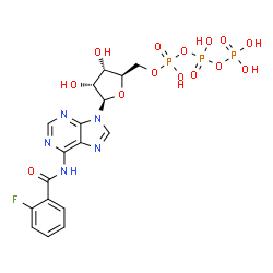 ChemSpider 2D Image | N-(2-Fluorobenzoyl)adenosine 5'-(tetrahydrogen triphosphate) | C17H19FN5O14P3