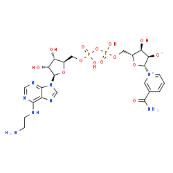 ChemSpider 2D Image | (2R,3R,4R,5R)-5-({[{[{[(2R,3S,4R,5R)-5-{6-[(2-Aminoethyl)amino]-9H-purin-9-yl}-3,4-dihydroxytetrahydro-2-furanyl]methoxy}(hydroxy)phosphoryl]oxy}(hydroxy)phosphoryl]oxy}methyl)-2-(3-carbamoyl-1-pyridi
niumyl)-4-hydroxytetrahydro-3-furanolate | C23H32N8O14P2