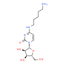 ChemSpider 2D Image | N-(5-Aminopentyl)cytidine | C14H24N4O5
