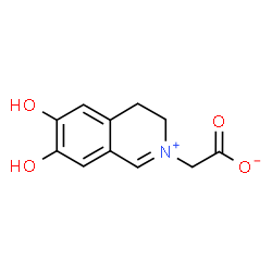 ChemSpider 2D Image | (6,7-Dihydroxy-3,4-dihydro-2-isoquinoliniumyl)acetate | C11H11NO4