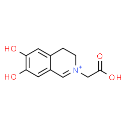 ChemSpider 2D Image | 2-Carboxymethyl-6,7-dihydroxy-3,4-dihydroisoquinolinium | C11H12NO4