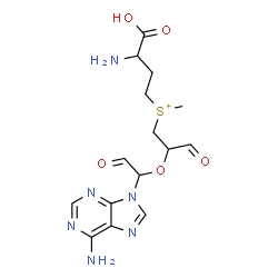 ChemSpider 2D Image | (3-Amino-3-carboxypropyl){2-[1-(6-amino-9H-purin-9-yl)-2-oxoethoxy]-3-oxopropyl}methylsulfonium | C15H21N6O5S