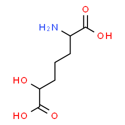 ChemSpider 2D Image | 2-Amino-6-hydroxyheptanedioic acid | C7H13NO5