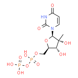 ChemSpider 2D Image | 2'-C-Methyluridine 5'-(trihydrogen diphosphate) | C10H16N2O12P2