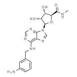 ChemSpider 2D Image | 1-[6-[[(3-Aminophenyl)methyl]amino]-9H-purin-9-yl]-1-deoxy-N-methyl-Î²-D-ribofuranuronamide | C18H21N7O4