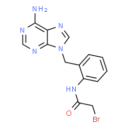 ChemSpider 2D Image | N-{2-[(6-Amino-9H-purin-9-yl)methyl]phenyl}-2-bromoacetamide | C14H13BrN6O