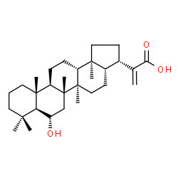 ChemSpider 2D Image | (6alpha)-6-Hydroxyhop-22(30)-en-29-oic acid | C30H48O3