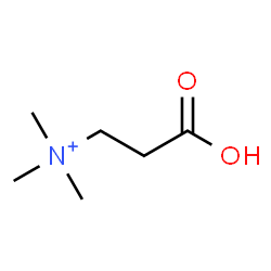 ChemSpider 2D Image | 2-Carboxy-N,N,N-trimethylethanaminium | C6H14NO2
