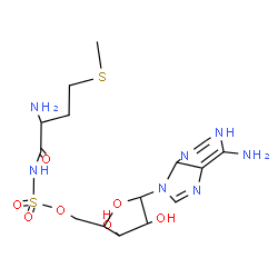ChemSpider 2D Image | {(2R,3R,4S,5S)-5-[(4R)-6-Amino-1,4-dihydro-9H-purin-9-yl]-3,4-dihydroxytetrahydro-2-furanyl}methyl [(2R)-2-amino-4-(methylsulfanyl)butanoyl]sulfamate | C15H25N7O7S2