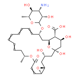 ChemSpider 2D Image | (1R,3S,5R,7R,12R,22R,24S,25R,26S)-22-[(3-Amino-3,6-dideoxy-D-mannopyranosyl)oxy]-1,3,26-trihydroxy-12-methyl-10-oxo-6,11,28-trioxatricyclo[22.3.1.0~5,7~]octacosa-8,14,16,18,20-pentaene-25-carboxylic a
cid | C33H47NO13