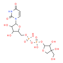ChemSpider 2D Image | 1-{5-O-[{[{[3,4-Dihydroxy-4-(hydroxymethyl)tetrahydro-2-furanyl]oxy}(hydroxy)phosphoryl]oxy}(hydroxy)phosphoryl]pentofuranosyl}-2,4(1H,3H)-pyrimidinedione | C14H22N2O16P2