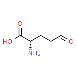 ChemSpider 2D Image | l-Glutamic-gamma-semialdehyde | C5H9NO3