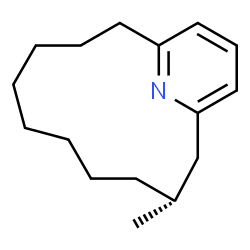 ChemSpider 2D Image | (r)-3-methyl-16-azabicyclo[10.3.1]hexadeca-1(16),12,14-triene | C16H25N