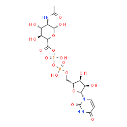 ChemSpider 2D Image | [(2S,3S,4R,5S,6R)-5-Acetamido-3,4,6-trihydroxytetrahydro-2H-pyran-2-yl]carbonyl [(2R,3S,4R,5R)-5-(2,4-dioxo-3,4-dihydro-1(2H)-pyrimidinyl)-3,4-dihydroxytetrahydro-2-furanyl]methyl dihydrogen diphospha
te | C17H25N3O18P2