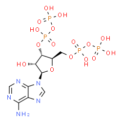 ChemSpider 2D Image | Adenosine 3',5'-bis(trihydrogen diphosphate) | C10H17N5O16P4