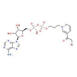 ChemSpider 2D Image | 5'-O-{[({3-[3-(Bromoacetyl)-1-pyridiniumyl]propoxy}phosphinato)oxy](hydroxy)phosphoryl}adenosine | C20H25BrN6O11P2