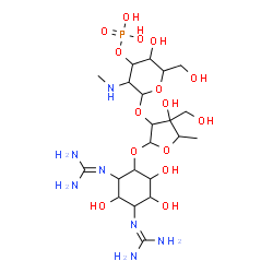 ChemSpider 2D Image | 2,2'-[4-({5-Deoxy-2-O-[2-deoxy-2-(methylamino)-3-O-phosphonohexopyranosyl]-3-C-(hydroxymethyl)pentofuranosyl}oxy)-2,5,6-trihydroxy-1,3-cyclohexanediyl]diguanidine | C21H42N7O15P