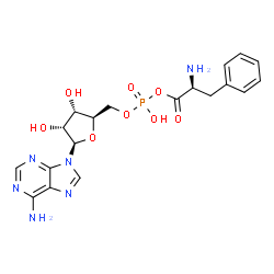 ChemSpider 2D Image | ADENOSINE-5'-[PHENYLALANINYL-PHOSPHATE] | C19H23N6O8P