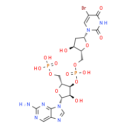 ChemSpider 2D Image | [(2R,3S,4R,5R)-5-(2-aminopurin-9-yl)-4-hydroxy-2-(phosphonooxymethyl)tetrahydrofuran-3-yl] [(2R,3S,5R)-5-(5-bromo-2,4-dioxo-pyrimidin-1-yl)-3-hydroxy-tetrahydrofuran-2-yl]methyl hydrogen phosphate | C19H24BrN7O14P2