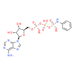 ChemSpider 2D Image | 5'-O-[{[{[Anilino(hydroxy)phosphoryl]oxy}(hydroxy)phosphoryl]oxy}(hydroxy)phosphoryl]adenosine | C16H21N6O12P3