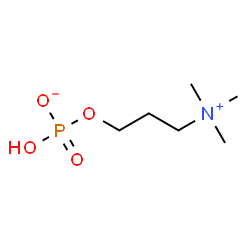 ChemSpider 2D Image | 3-(Trimethylammonio)propyl hydrogen phosphate | C6H16NO4P