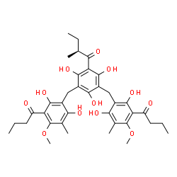 ChemSpider 2D Image | (2S)-1-[3,5-Bis(3-butyryl-2,6-dihydroxy-4-methoxy-5-methylbenzyl)-2,4,6-trihydroxyphenyl]-2-methyl-1-butanone | C37H46O12