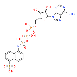 ChemSpider 2D Image | 5'-O-(Hydroxy{[hydroxy({hydroxy[(5-sulfo-1-naphthyl)amino]phosphoryl}oxy)phosphoryl]oxy}phosphoryl)adenosine | C20H23N6O15P3S