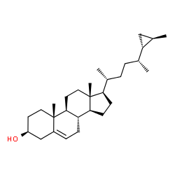ChemSpider 2D Image | (3S,8S,9S,10R,13R,14S,17R)-10,13-Dimethyl-17-{(2R,5R)-5-[(1R,2R)-2-methylcyclopropyl]-2-hexanyl}-2,3,4,7,8,9,10,11,12,13,14,15,16,17-tetradecahydro-1H-cyclopenta[a]phenanthren-3-ol (non-preferred name
) | C29H48O