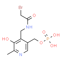 ChemSpider 2D Image | (4-{[(Bromoacetyl)amino]methyl}-5-hydroxy-6-methyl-3-pyridinyl)methyl dihydrogen phosphate | C10H14BrN2O6P