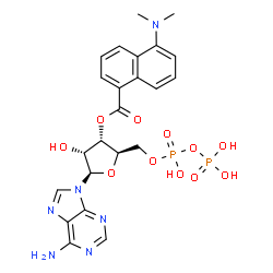ChemSpider 2D Image | 3'-O-[5-(Dimethylamino)-1-naphthoyl]adenosine 5'-(trihydrogen diphosphate) | C23H26N6O11P2