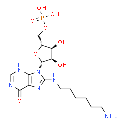 ChemSpider 2D Image | 8-[(6-Aminohexyl)amino]inosine 5'-(dihydrogen phosphate) | C16H27N6O8P
