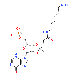 ChemSpider 2D Image | 9-(2,3-O-{4-[(6-Aminohexyl)amino]-1-methyl-4-oxobutylidene}-5-O-phosphono-beta-D-glycero-pentofuranosyl)-3,9-dihydro-6H-purin-6-one | C21H33N6O9P