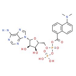 ChemSpider 2D Image | 5'-O-[{[5-(Dimethylamino)-1-naphthoyl]oxy}(phosphonooxy)phosphoryl]adenosine | C23H26N6O11P2