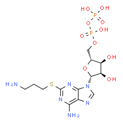 ChemSpider 2D Image | 2-[(3-Aminopropyl)sulfanyl]adenosine 5'-(trihydrogen diphosphate) | C13H22N6O10P2S