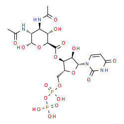 ChemSpider 2D Image | (2R,3S,4R,5R)-5-(2,4-Dioxo-3,4-dihydro-1(2H)-pyrimidinyl)-4-hydroxy-2-({[hydroxy(phosphonooxy)phosphoryl]oxy}methyl)tetrahydro-3-furanyl (2S,3S,4R,5R,6S)-4,5-diacetamido-3,6-dihydroxytetrahydro-2H-pyr
an-2-carboxylate | C19H28N4O18P2
