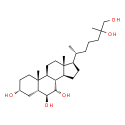 ChemSpider 2D Image | 5beta-Cholestane-3alpha,6beta,7alpha,25,26-pentol | C27H48O5