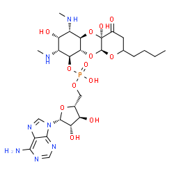 ChemSpider 2D Image | 9-{5-O-[{[(4aR,5aR,6S,7R,8R,9S,9aS,10aS)-2-Butyl-4a,7-dihydroxy-6,8-bis(methylamino)-4-oxodecahydro-2H-pyrano[2,3-b][1,4]benzodioxin-9-yl]oxy}(hydroxy)phosphoryl]-beta-D-arabinofuranosyl}-9H-purin-6-a
mine | C27H42N7O13P