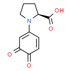 ChemSpider 2D Image | 1-(3,4-Dioxo-1,5-cyclohexadien-1-yl)-L-proline | C11H11NO4