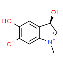 ChemSpider 2D Image | (3R)-3,5-Dihydroxy-1-methyl-3H-indolium-6-olate | C9H9NO3