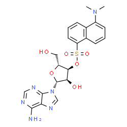 ChemSpider 2D Image | 3'-O-{[5-(Dimethylamino)-1-naphthyl]sulfonyl}adenosine | C22H24N6O6S