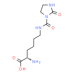 ChemSpider 2D Image | N~6~-[(2-Oxo-1-imidazolidinyl)carbonyl]-L-lysine | C10H18N4O4